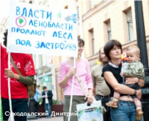 В поддержку Сиверского леса пройдет пикет у Генпрокуратуры Лен. обл.