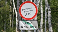 Активист-эколог избит и лежит в реанимации в Химках